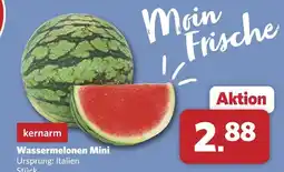 Combi Wassermelonen mini Angebot