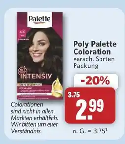 Combi Palette poly palette coloration Angebot