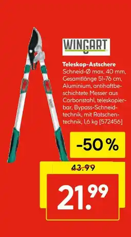 Hellweg Wingart teleskop-astschere Angebot