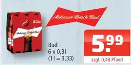 Getränke Oase Anheuser-busch bud bud Angebot