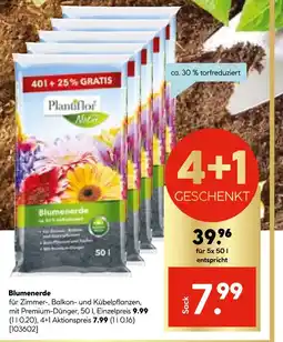 Hellweg Plantiflor blumenerde Angebot