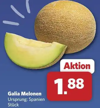 Combi Galia melonen Angebot