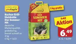 Combi Profagus buchen grill-holzkohle der sommer-hit Angebot