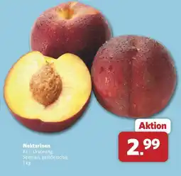 Combi Nektarinen Angebot