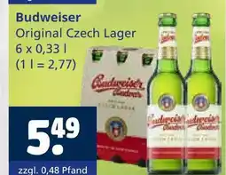 Getränkewelt Budweiser original czech lager Angebot