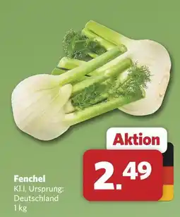 Combi Fenchel Angebot