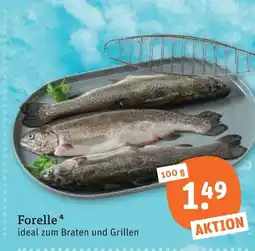 tegut Forelle Angebot