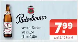 Getränke Oase Paderborner pilsener Angebot