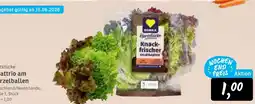 KONSUM Edeka knackfrischer salattrio am wurzelballen Angebot