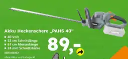 Globus Baumarkt Akku heckenschere pahs 40 Angebot