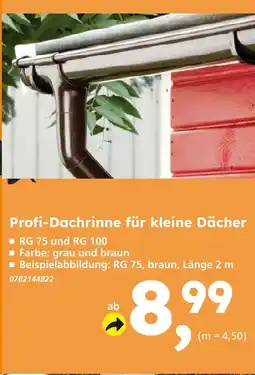 Globus Baumarkt Profi-dachrinne Angebot