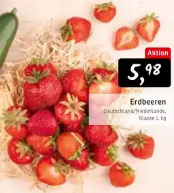 KONSUM Erdbeeren Angebot