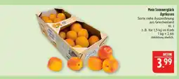 Marktkauf Mein sommerglück aprikosen Angebot