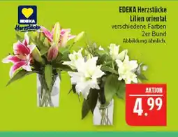 Marktkauf Edeka herzstücke lilien oriental Angebot