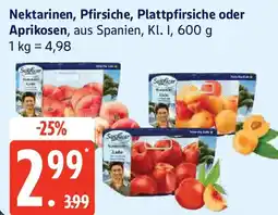 Edeka Nektarinen, Pfirsiche, Plattpfirsiche oder Aprikosen Angebot