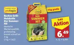 Combi Buchen Grill-Holzkohle Der Sommer-Hit Angebot