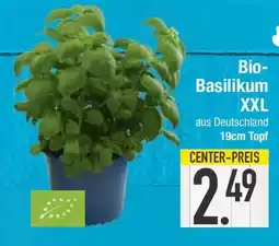 E-Center Bio- Basilikum XXL Angebot