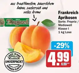 HIT Frankreich Aprikosen Angebot