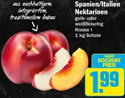 HIT Spanien/Italien Nektarinen Angebot