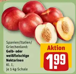 REWE Gelb- oder weißfleischige Nektarinen Angebot