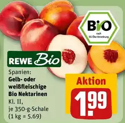 REWE Gelb- oder weißfleischige Bio Nektarinen Angebot