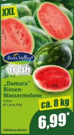 Norma River Valley fresh ,,Dumara" Riesen Wassermelone Angebot
