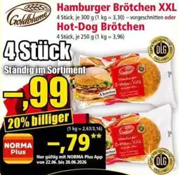 Norma Goldblume Hamburger Brötchen XXL oder Hot-Dog Brötchen Angebot