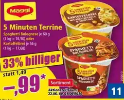Norma Maggi 5 Minuten Terrine Angebot