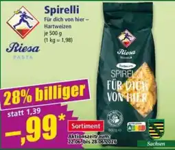 Norma Riesa Spirelli Angebot