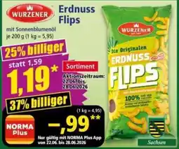 Norma WURZENER Erdnuss Flips Angebot