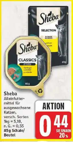 NP Discount Sheba Angebot