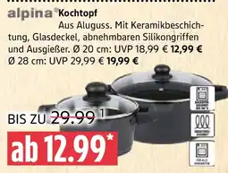 Marktkauf alpina Kochtopf Angebot