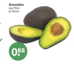 V Markt Avocados Angebot