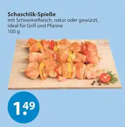 V Markt Schaschlik-spieße Angebot