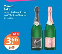 V Markt Mumm sekt Angebot