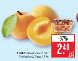 Marktkauf Aprikosen Angebot