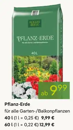 Pflanzen Kölle Kölle´s beste! pflanz-erde Angebot