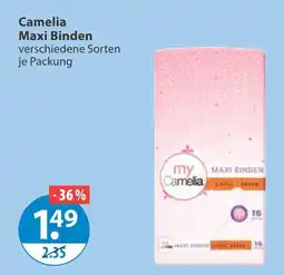 V Markt My camelia maxi binden Angebot