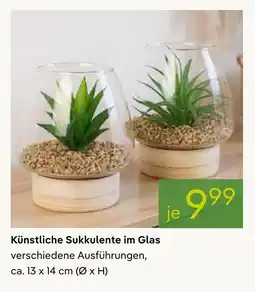 Pflanzen Kölle Künstliche sukkulente im glas Angebot