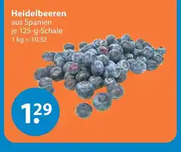 V Markt Heidelbeeren Angebot