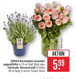 Marktkauf Edeka herzstücke lavendel angustifolia Angebot