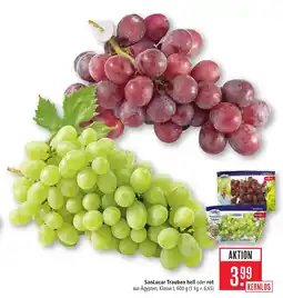 Marktkauf Sanlucar trauben hell Angebot