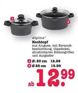 E-Center Alpina kochtopf Angebot