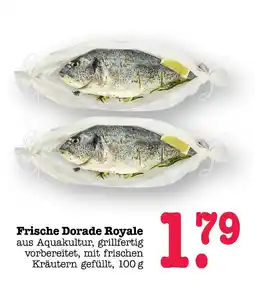 E-Center Frische dorade royale Angebot