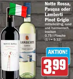 HIT Notte Rossa, Pasqua oder Lamberti Pinot Grigio Angebot