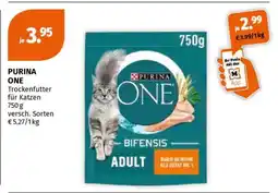 Müller PURINA ONE Angebot