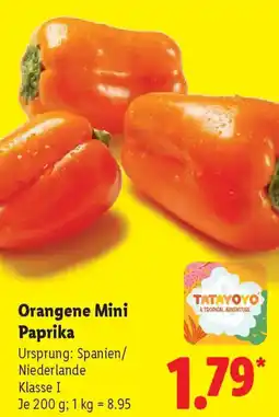 Lidl Orangene Mini Paprika Angebot