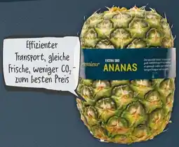 Netto Premieur Ananas ohne Krone Angebot