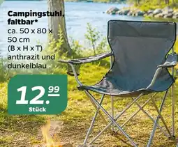 Netto Campingstuhl, faltbar Angebot