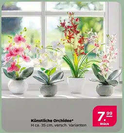 Netto Künstliche Orchidee Angebot